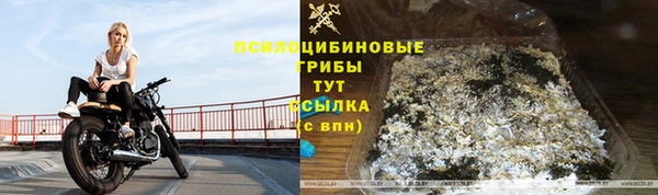 spice Новодвинск
