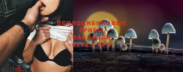 spice Новодвинск
