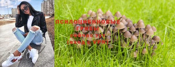 МДПВ Абдулино
