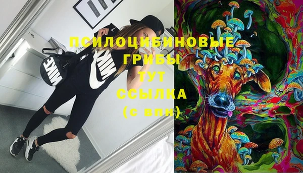 PSILOCYBIN Новокубанск